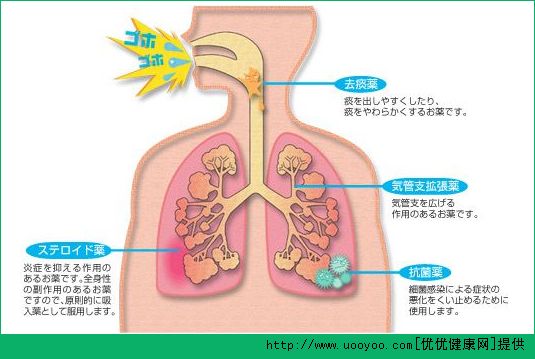 長跑有什麼好處？長跑對身體的好處有哪些？(2)