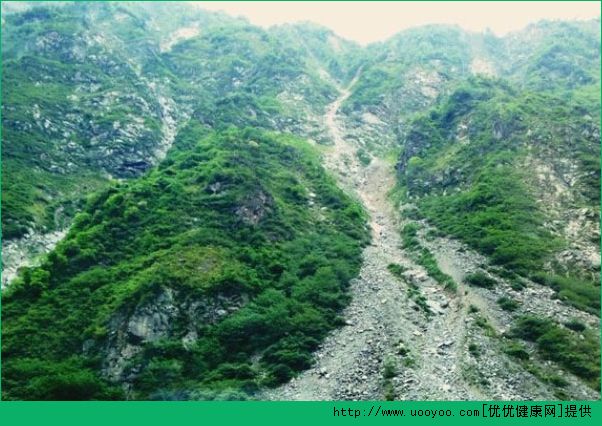 登山時下暴雨怎麼辦？登山時如何預防危險？(3)