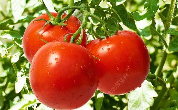 天然的潤膚食物有哪些？最能滋潤皮膚的食物有哪些？(3)