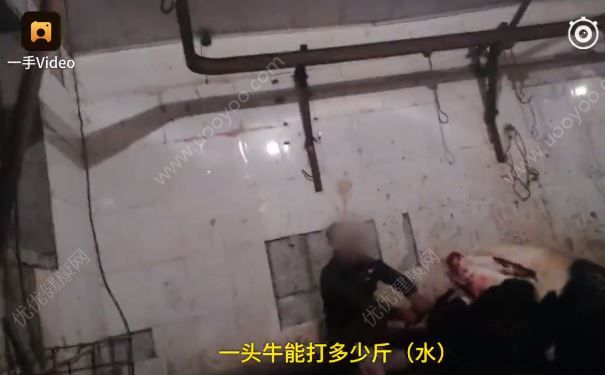 正規屠宰場一頭牛註水60斤，吃這種肉多瞭會變傻(2)