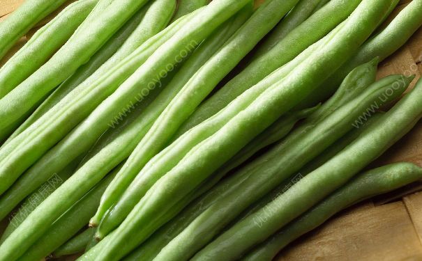 四季豆有毒嗎？食用四季豆中毒瞭要怎麼辦？(2)