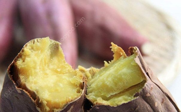 吃烤紅薯可以減肥嗎？不吃飯可以吃烤紅薯嗎？(3)
